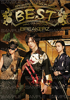 BREAKERZ LIVE TOUR BEST 2013パンフレット DVD付 DAIGO